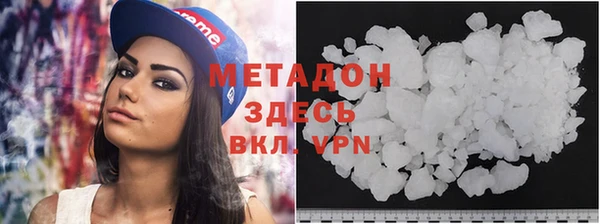 стаф Алзамай