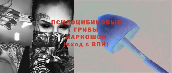 ПСИЛОЦИБИНОВЫЕ ГРИБЫ Осинники