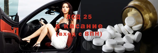 стаф Алзамай