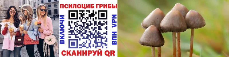 где купить наркоту Усть-Джегута blacksprut вход Псилоцибиновые грибы Magic Shrooms